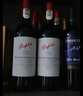 奔富（Penfolds）【中秋送礼】寇兰山BIN389/407系列澳洲进口干红葡萄酒商务宴请 奔富寇兰山  单支装 实拍图