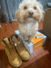 添柏岚（Timberland）官方踢不烂男款经典大黄靴防水|10061 10061W/小麦色 TB0仅批次不同 41.5 推荐小半码 实拍图