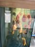 森森（SUNSUN）鱼缸刷水族箱磁力刷玻璃擦清洗清理清洁工具刷子 大号带刀片*适合120-200cm鱼缸 实拍图