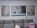 诗六艺家饰客厅装饰画北欧现代简约沙发背景墙挂画三联画大气轻奢壁画晶瓷画 瓶瓶安安（铝合金外框） 晶瓷画左右60*80+中间120*80亮面 实拍图