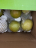 隰县玉露香梨山西隰县玉露香梨小西天特产梨子脆甜无渣多汁当季新鲜梨子礼盒装 18颗中大果 净重10斤【80%人选择】 实拍图