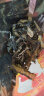 九味天 海茸干货250g*2袋 南极海茸丝 新鲜海藻丝 海鲜海产海茸条干货 实拍图