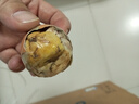 九分馋新鲜活珠子13天熟毛蛋活珠子香辣五香毛鸡蛋自选开袋即食鸡胚蛋 香辣活珠子20枚（含蘸料） 实拍图