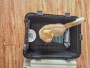 HZPET国航猫咪航空箱南深航飞机托运狗狗铁窗宠物外出便携车载旅行箱子 铁窗2号：61*45*41cm 金属窗 实拍图
