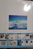 天气之子官方视觉设定集  （日本知名动画导演新海诚2019年新作） 实拍图
