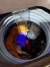 志高（CHIGO）全自动洗衣机7.5KG大容量 智能波轮洗脱一体机 带风干 7.5公斤香槟金【蓝光洗护+智能风干+强动力电机】 晒单实拍图