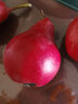 莱财多2025现摘红啤梨红皮梨啤酒梨子新鲜水果当季水果梨子 5斤中果 实拍图