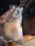 狄派彩屏充电电子宠物机掌上怀旧儿童虚拟精灵喂养游戏机解压玩具礼物 黄色【配可爱毛绒套+精美挂链】 彩屏充电（中文版） 实拍图