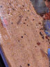 HANYANG黄金沙2kg水草鱼缸底砂南美雨淋化妆细沙免洗龟缸水族养鱼造景 实拍图