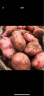 鲜福林 云南红皮黄心小土豆 新鲜时令蔬菜 中果9斤 实拍图