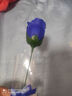 仿真肥皂玫瑰花长款教师情人节庆典促销礼品香皂花 【仿真蓝玫瑰】 1支 实拍图