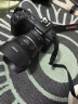 佳能（Canon）EOS RP全画幅专业微单相机 直播学生专微单反 国产转接环+EF50 1.8小痰盂镜头 32G标准礼包 晒单实拍图