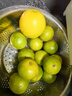 吉果叔 正宗广西茂谷柑 应当季新鲜水果薄皮脏脏柑橘石灰柑橘子整箱 净重8.5-9斤 【中果】果径60-65mm 实拍图