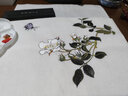 工笔花鸟画 零基础轻松学 工笔画技法从入门到精通工笔画入门工笔画教程工笔画书籍 花鸟国画入门工笔画谱白描底 实拍图