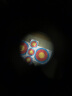 星特朗CELESTRON星特朗蜂-鸟便携小巧ED单筒观鸟望远镜高清高倍可手持 9-27X56ED迷你单筒观鸟镜52308 晒单实拍图