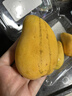 海南小台农芒果500g 实拍图