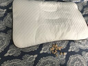 一人一枕日本进口桧木芯护颈椎枕头睡眠专用荞麦软管枕芯中硬成人记忆枕 四分区 中硬 桧木荞麦枕 高枕 8-10厘米(54*37*9cm） 实拍图