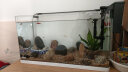 森森 超白玻璃小鱼缸HRK-600套缸款(长60cm)热弯玻璃+过滤器+水草灯 小型水族箱金鱼缸水草缸客厅造景鱼缸 实拍图