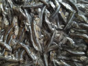 哈皮猴海燕鱼干500g海产干货小鱼干咸鱼干丁香鱼海鲜水产小鱼仔 实拍图