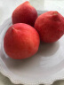 京愿 新鲜水蜜桃 毛桃脆甜桃子 红不软 当季孕妇生鲜水果 5斤装(净重4.5-5斤) 实拍图