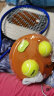 飞尔顿FED网球拍网球训练器穿线回弹球单人初学者大学生儿童单人专业 实拍图
