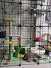爱咪宠猫笼子大号家用猫笼子猫别墅大型DIY猫笼子带厕所一体猫咪别墅 【笼内分区设计】4列4层3排 瞄宅套餐【笼子+加固扣+工具】 实拍图