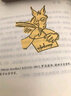 小毛驴与我 实拍图