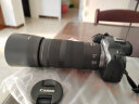 佳能（Canon）RF 100-400mm F5.6-8 IS USM 全画幅微单镜头 远摄变焦镜头 RF100-400mm IS USM 实拍图
