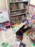 东方娃娃幼儿启蒙绘本（趣味篇） 实拍图