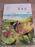 昆虫记（新版）八年级上册推荐阅读 青少年儿童文学读物 中小学生课外阅读指导丛书 无障碍阅读名著儿童文学青少年读物故事书 开学季 实拍图