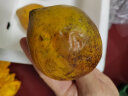 新鲜当季鸡蛋果 云南/海南蛋黄果 狮头果热带水果香甜粉糯 大果（单果120-200g） 1000g 实拍图