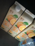 橙宝橙汁100%纯果汁苹果菠萝汁西柚汁早餐家庭分享装橙汁1L*6瓶 【常温】橙汁1kg*3+苹果汁1kg*3 晒单实拍图
