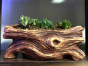 欧林泽 陶瓷花盆 陶泥多肉植物绿植花器 创意桌面仿老根根雕生态树桩陶盆 中式个性 木桩 款式6/长18.5*宽9.6*高8厘米 实拍图