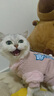 华元宠具（hoopet）猫咪衣服防掉毛幼猫小猫宠物德文猫猫冬季毛衣秋冬无毛猫保暖外套 三只猫2脚小外套（粉） S：胸围30-35cm（建议约3-5斤） 实拍图