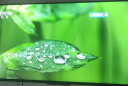 海信电视43E3G 43英寸 4K护眼智慧屏 超薄悬浮全面屏 远场语音 家用智能液晶平板电视机 屏 以旧换新 实拍图
