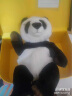 National Geographic【520情人节礼物】国家地理大熊猫动物玩偶毛绒玩具娃娃儿童生日 晒单实拍图