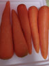 小汤山 北京 有机胡萝卜 300g 基地直供新鲜蔬菜 实拍图