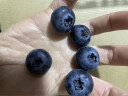 佳沃蓝莓 云南当季国产大果蓝莓水果【JD顺丰-多地次日达】 新鲜蓝莓 10盒【土豪装】125g/盒 晒单实拍图