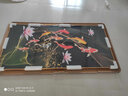 瑞尚（RUISHANG） 玄关装饰画现代简约进门壁画山水墙画竖版晶瓷画欧式轻奢挂画 九鱼生财 80*160cm/晶瓷面+铝合金边框 实拍图