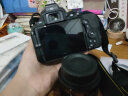 尼康/Nikon D5200 D5300 D5500 D5600 二手单反相机学生新手入门级数码相机 D5500（18-55mm )套机 95新 晒单实拍图
