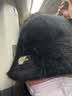 目丸帽子女秋冬季韩版2022年时尚百搭盆帽显脸小兔毛绒水桶帽子加厚加 经典黑 实拍图