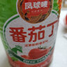 凤球唛 新疆番茄丁390g新鲜西红柿丁番茄罐头番茄酱 预制菜调味罐头 实拍图