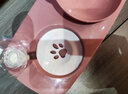 斑队长 猫碗狗碗15°护颈双碗自动饮水喂食宠物猫盆狗盆带瓶 猫咪用品 北欧蓝 大号-适合8斤以上犬猫 实拍图