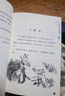 罗尔德·达尔作品典藏·女巫  7-10岁 小学一年级二年级课外阅读 儿童文学 儿童礼物男孩女孩 京东618 暑假阅读书单 实拍图