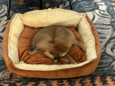 多可特（D-cat） 狗窝四季通用猫狗窝小中大型犬冬季夏季狗床狗用品猫狗垫子沙发 M-75*60*25（建议40斤内） 实拍图