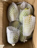 越南青芒果新鲜水果 应季孕妇水果现摘热带水果 9斤带箱（净重8.5） 大果单果300-400g 晒单实拍图