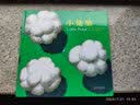 小池塘 国际绘本大师新宫晋作品 美到震撼 具有一种安定的力量，能唤醒每个人的内在之心，以及与大自然对话的能力3-12岁（启发出品） 实拍图