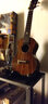 阿诺玛AROMA 尤克里里架 吉他架小提琴架子便捷可折叠型 尤克里里款AUS-02 实拍图