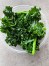 绿食者 新鲜羽衣甘蓝 绿叶甘兰芥蓝菜kale 西餐色拉沙拉菜 健康轻食蔬菜 1斤 实拍图