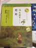 蟋蟀（暖心美读书：名师导读美绘版）儿童读物 课外读物 小学生读物  实拍图